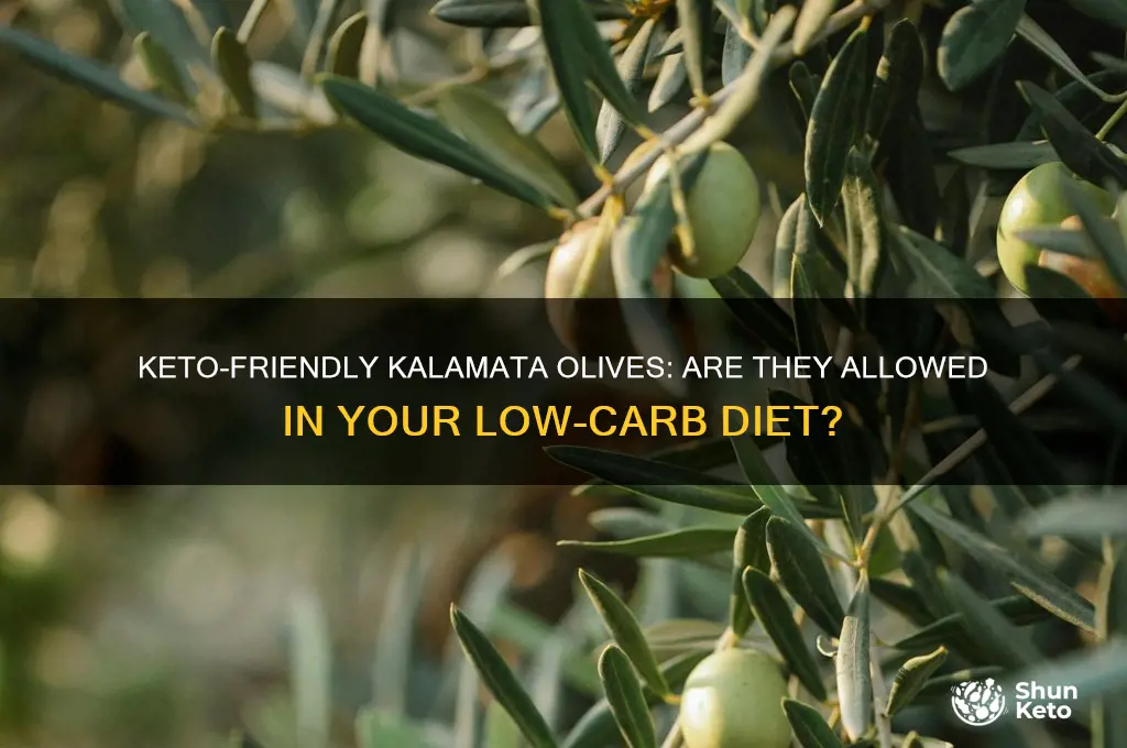 can you have kalamata olives on keto diet