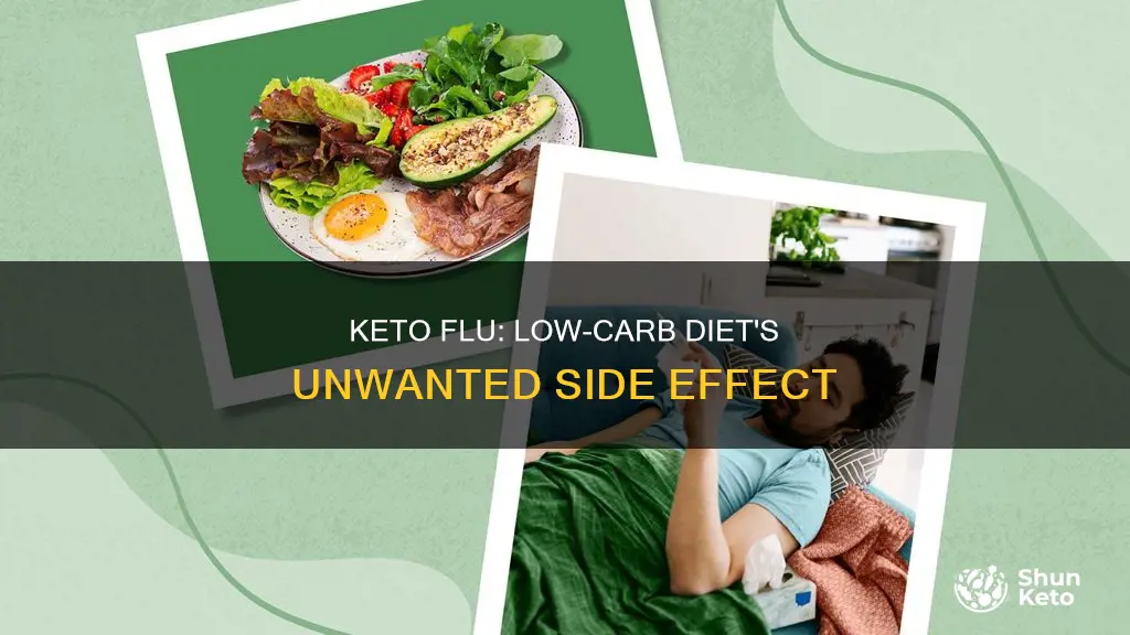 can you have keto flu from low carb