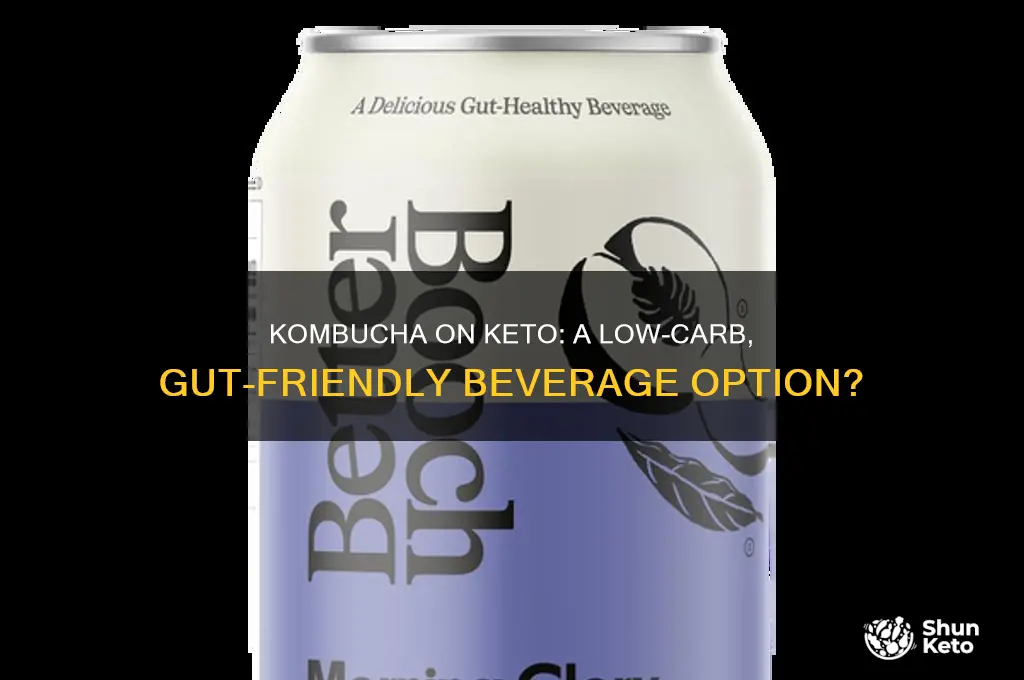can you have kombucha on keto