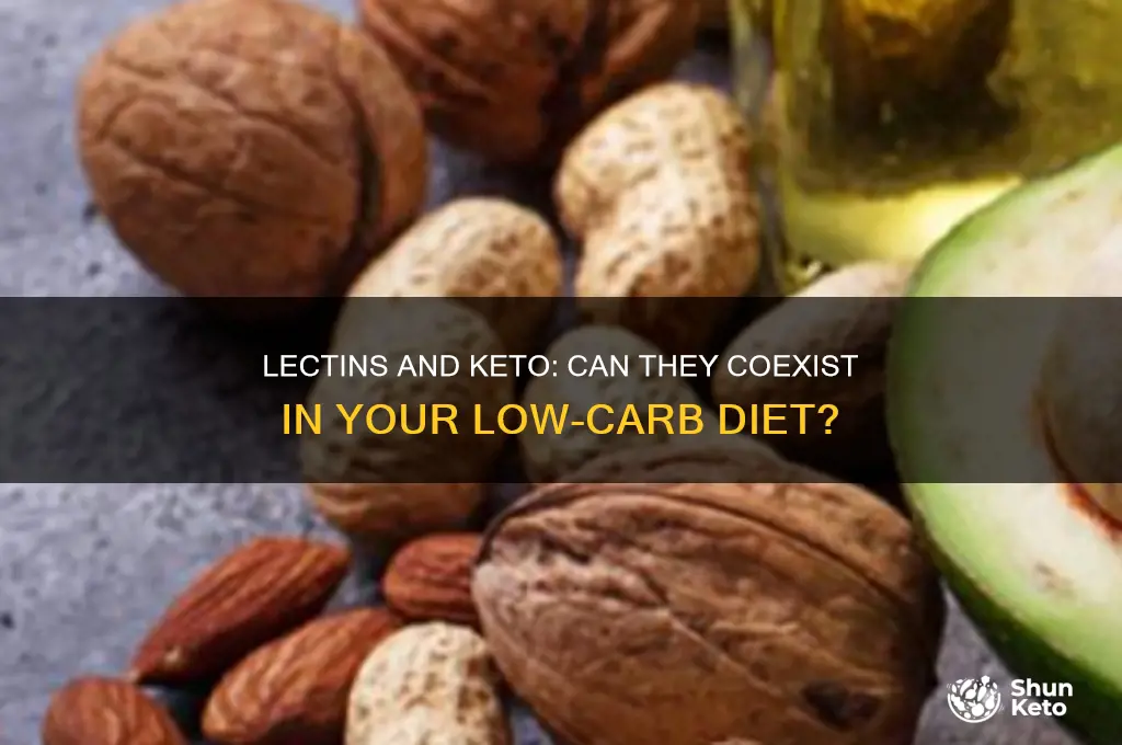 can you have lectins on the keto diet