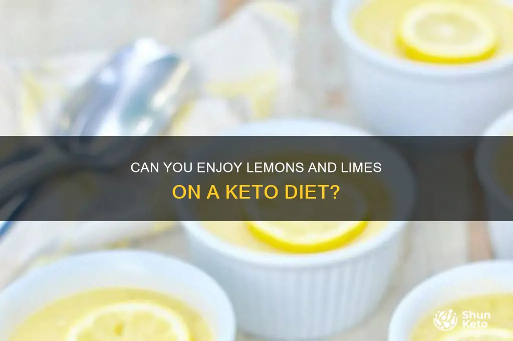 can you have lemon and limes on keto diet