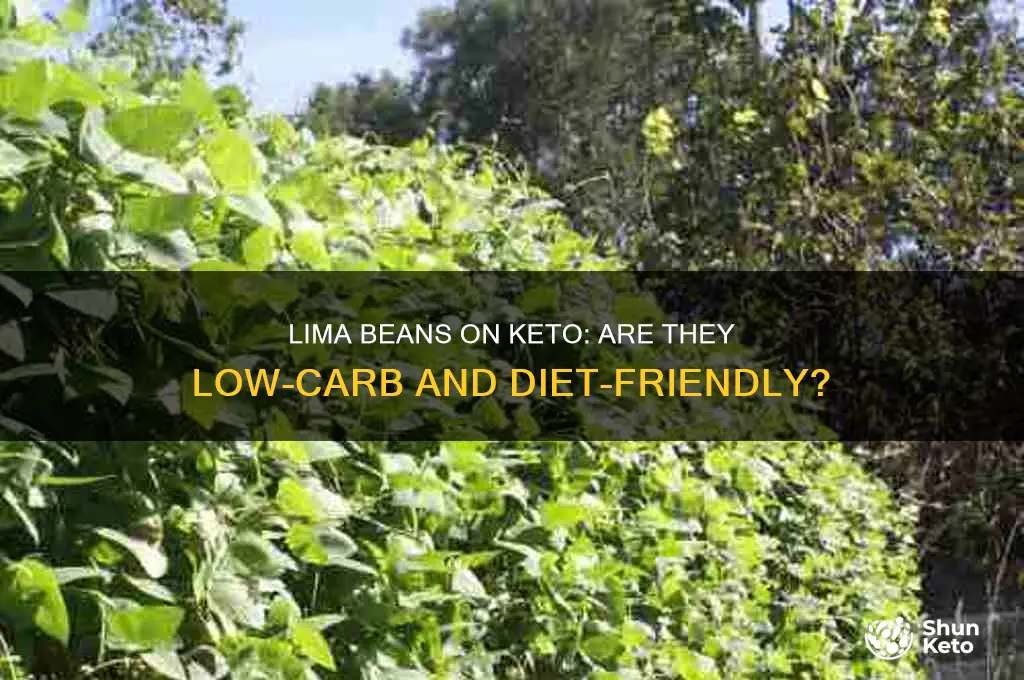 can you have lima beans on keto