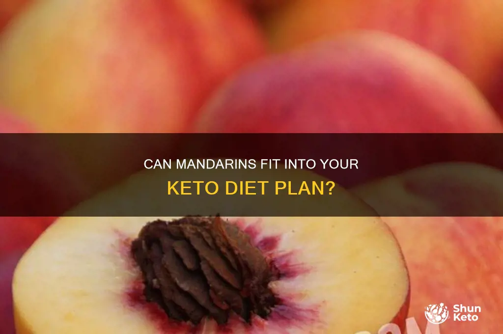 can you have mandrins on keto diet