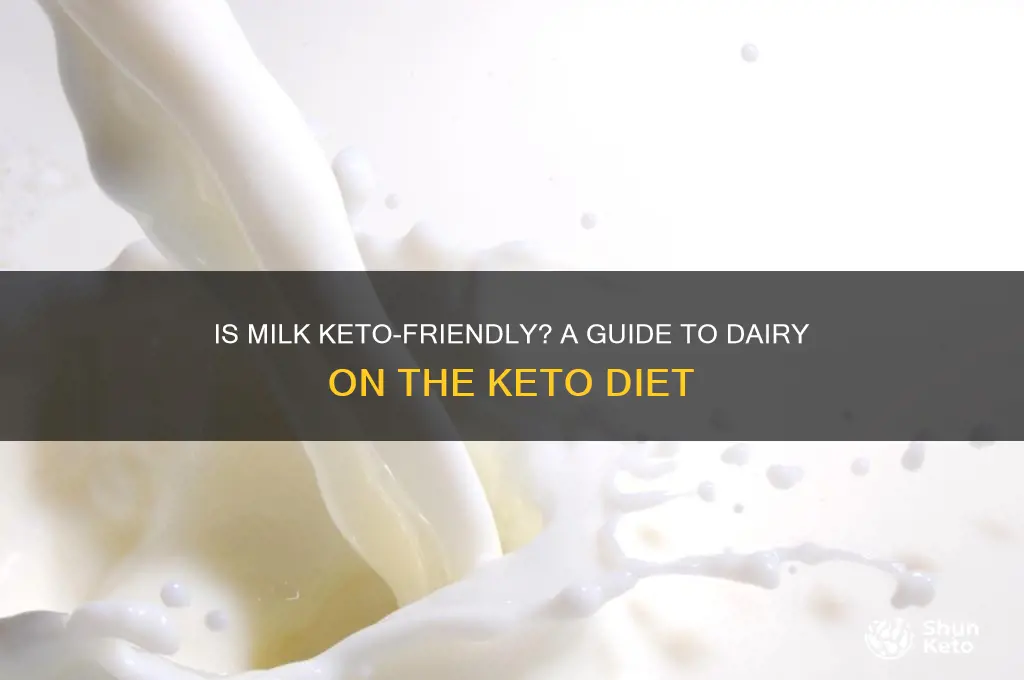 can you have milk on the keto diet
