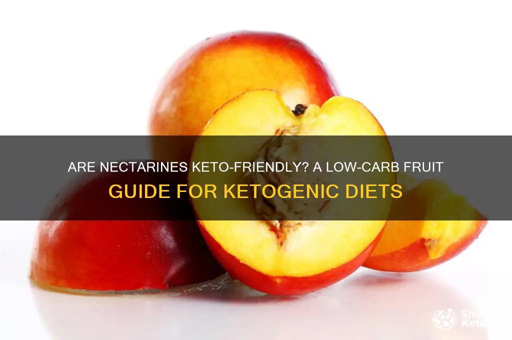 can you have nectarines on keto