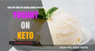 Keto-Friendly Treat: No Sugar Added Frozen Yogurt Explained
