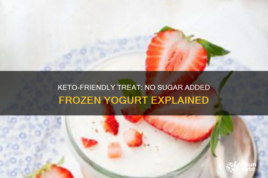 can you have no sugar added frozen yogurt on keto