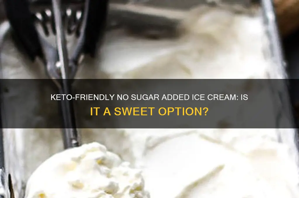 can you have no sugar added ice cream on keto