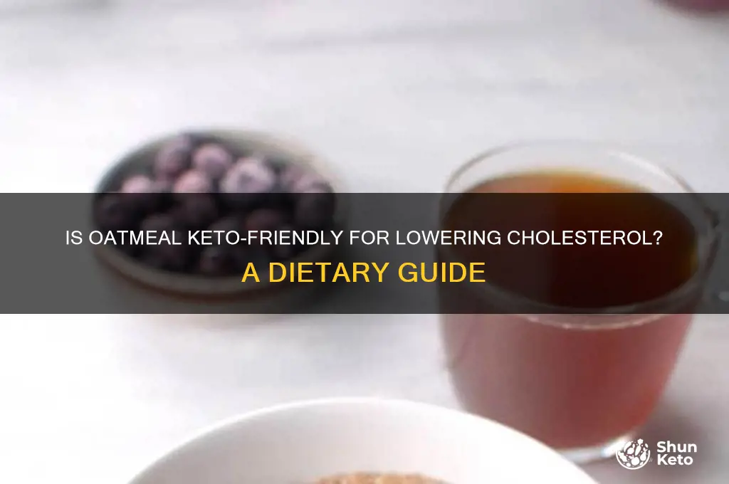 can you have oatmeal on keto for cholesterol