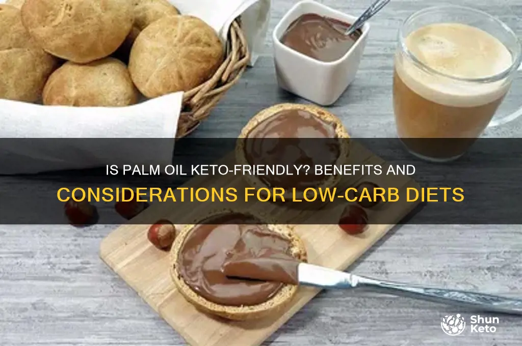 can you have palm oil on keto diet
