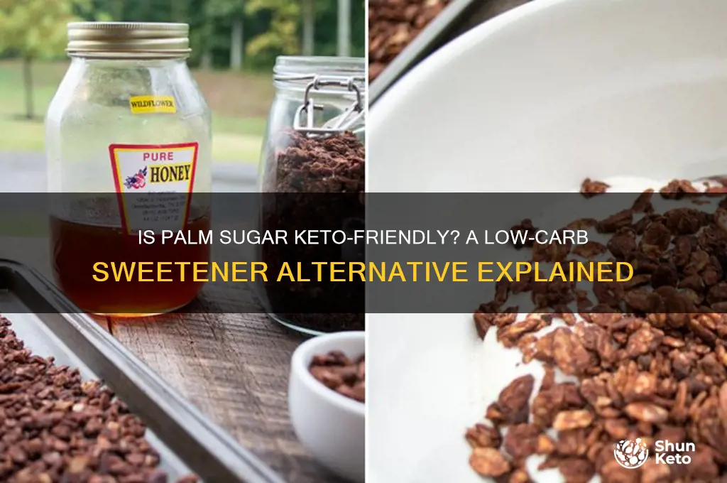 can you have palm sugar on keto