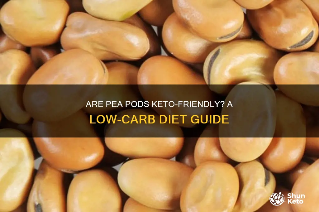 can you have pea pods on keto diet