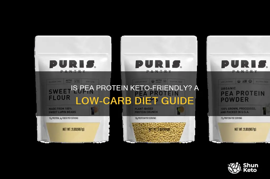can you have pea protein on keto