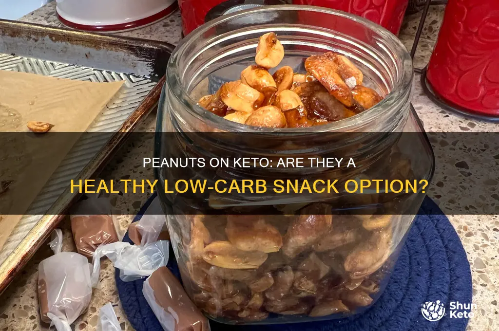 can you have peanuts on keto diet