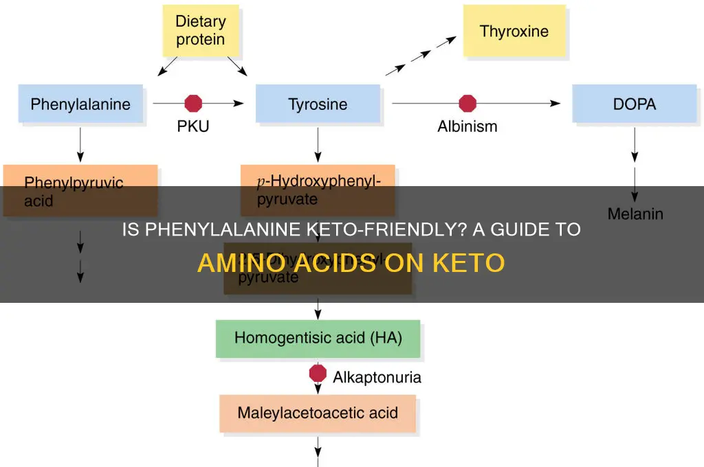 can you have phenylalanine on keto