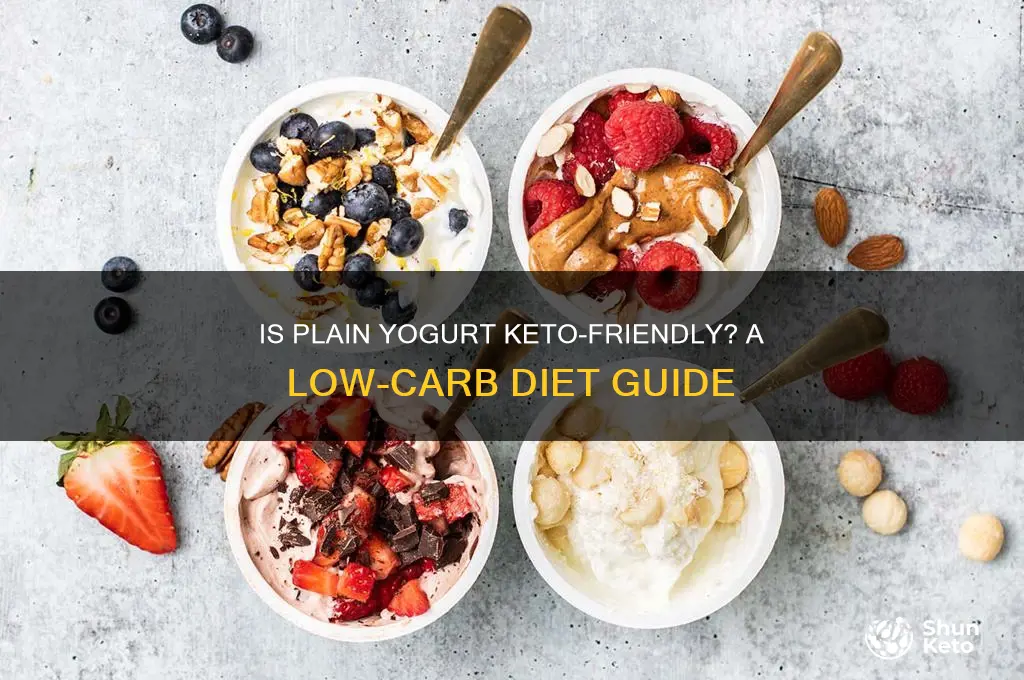 can you have plain yogurt on keto