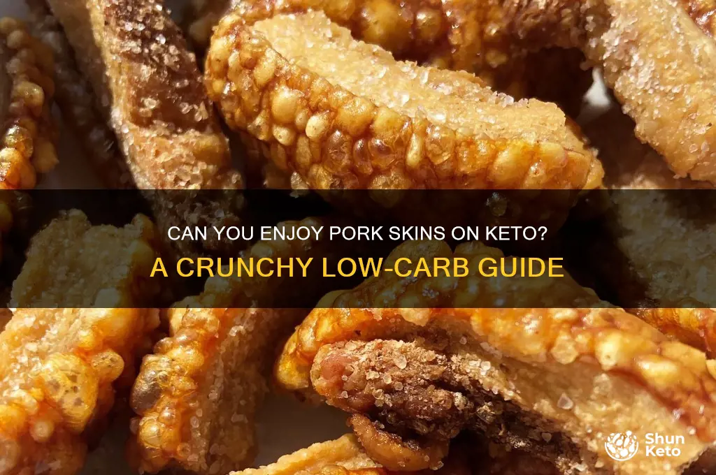 can you have pork skins on keto