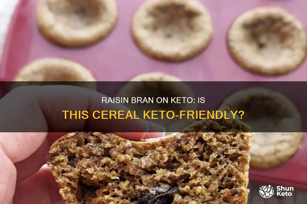 can you have raisin bran cereal on keto diet
