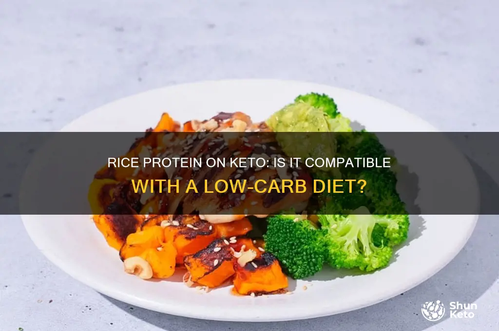 can you have rice protein on keto