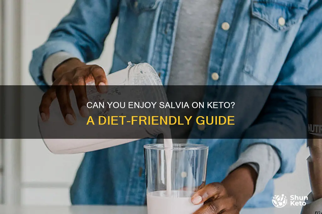 can you have satvia on keto