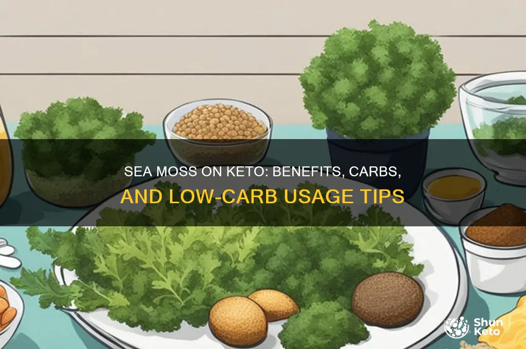 can you have sea moss on keto