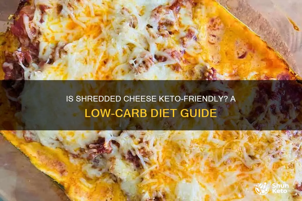 can you have shredded cheese on keto diet