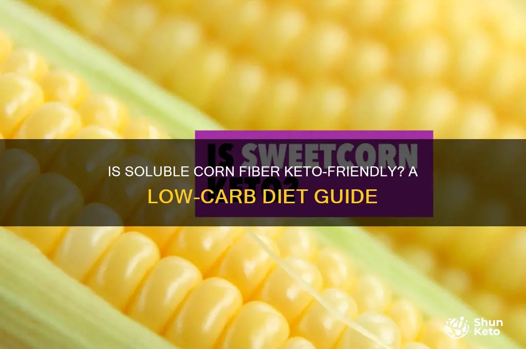 can you have soluble corn fiber on keto