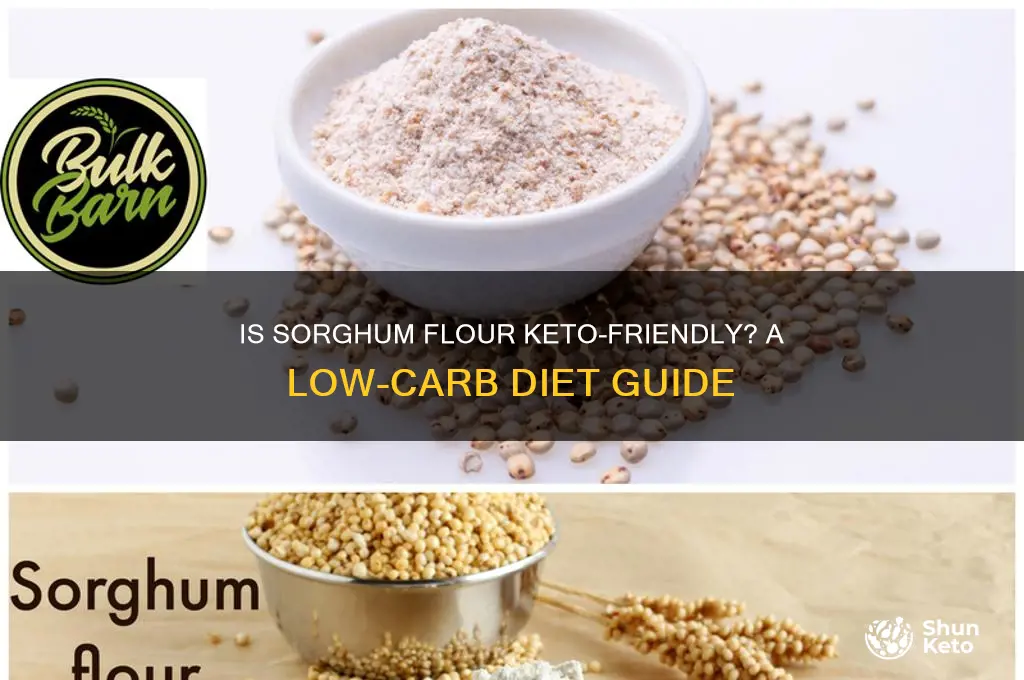 can you have sorfhum flour on keto