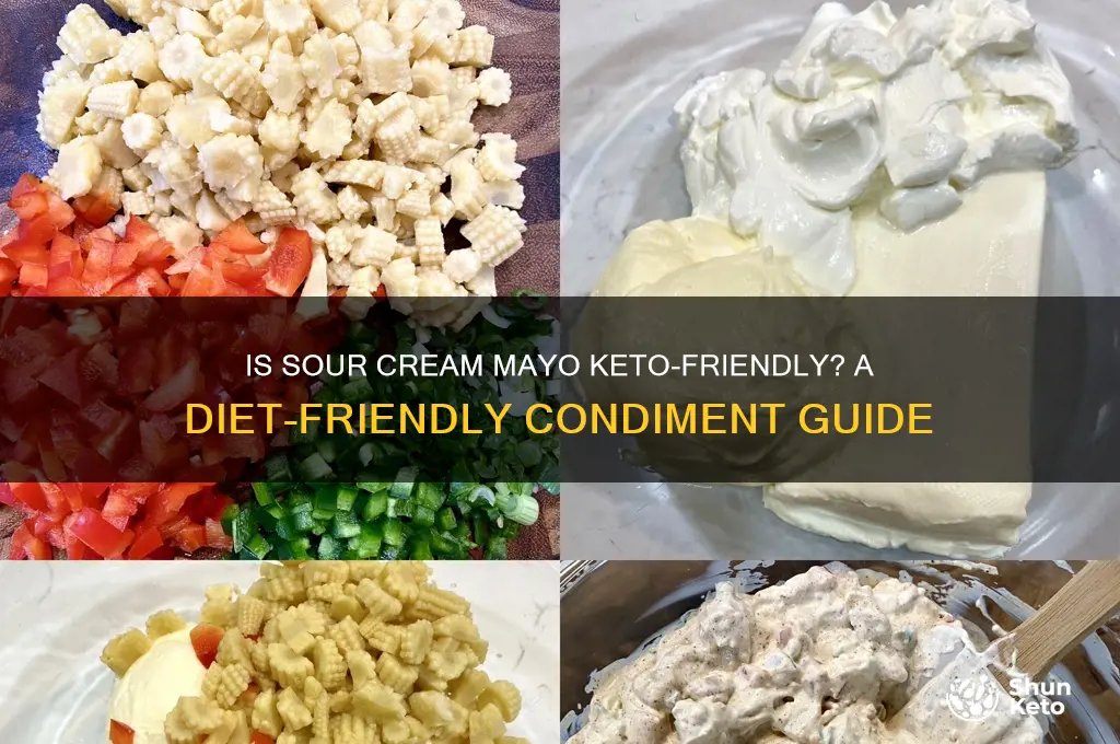 can you have sour cream mayo on the keto diet