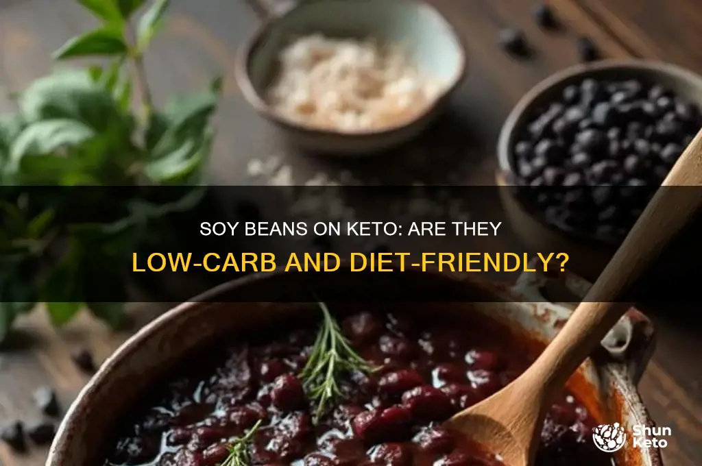 can you have soy beans on the keto diet