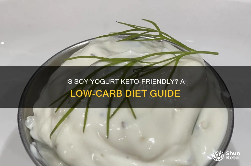 can you have soy yogurt on keto