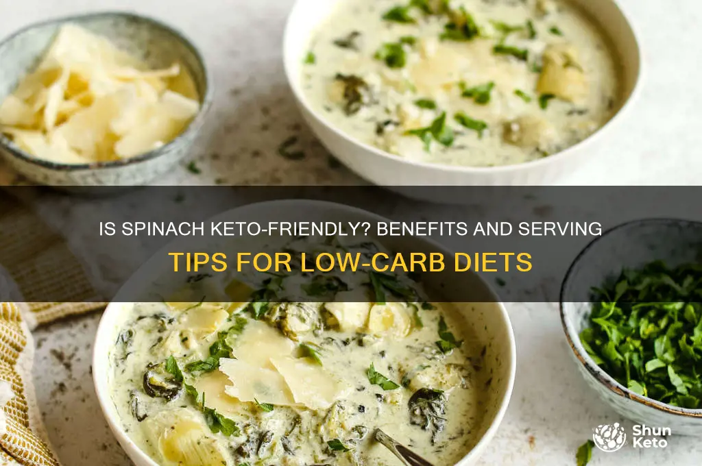 can you have spinnach keto diet