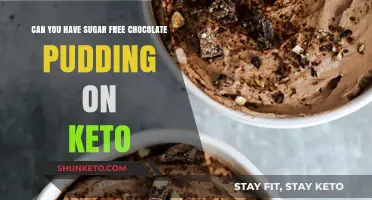 Keto-Friendly Sugar-Free Chocolate Pudding: A Delicious Low-Carb Dessert Option