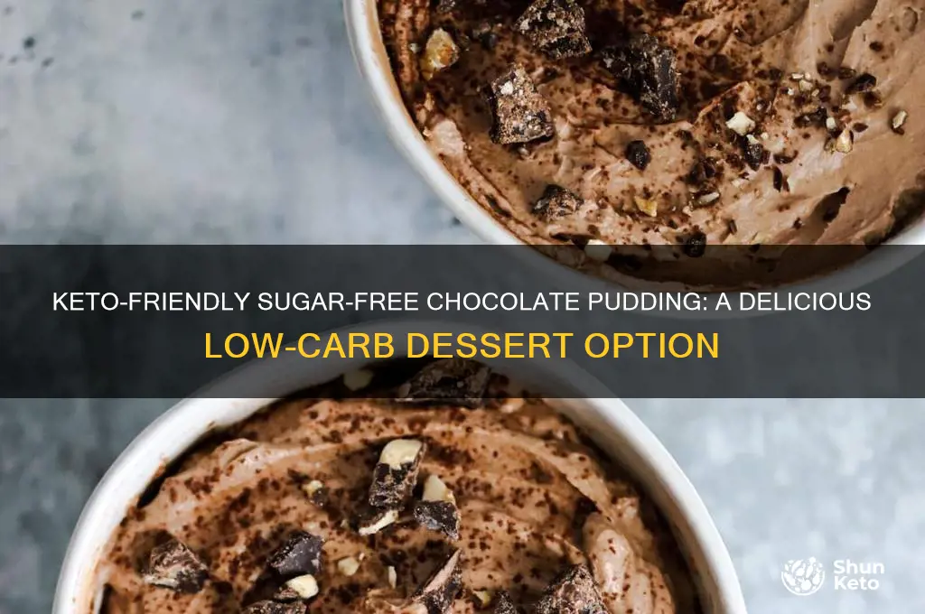 can you have sugar free chocolate pudding on keto