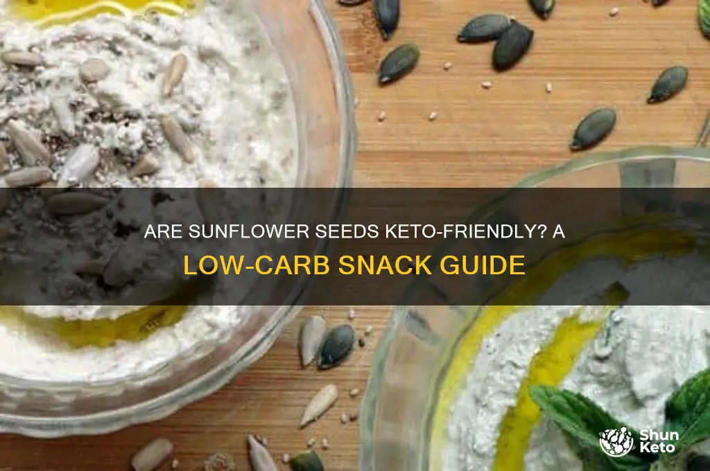 can you have sunflower seeds on a keto diet