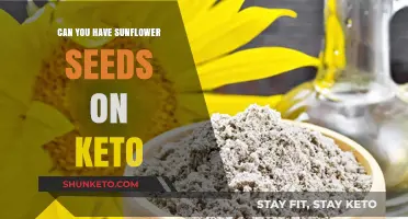 Sunflower Seeds on Keto: A Low-Carb Snack Option?
