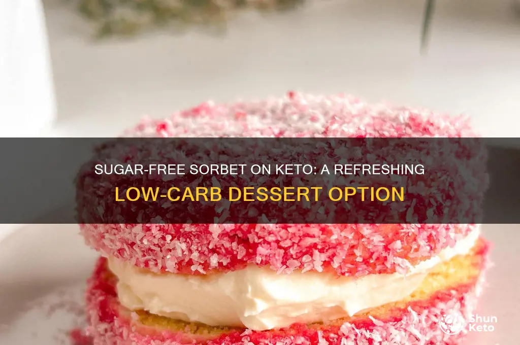 can you have surgar free sorbet on keto