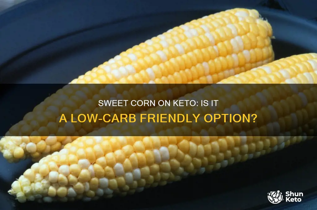 can you have sweet corn on keto diet