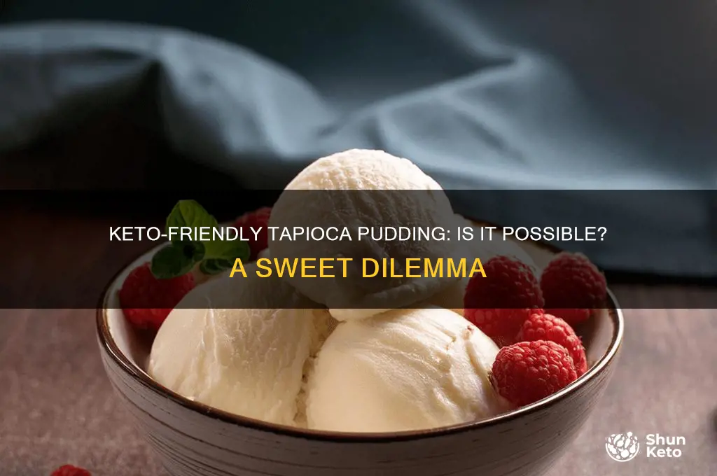 can you have tapioca pudding on keto