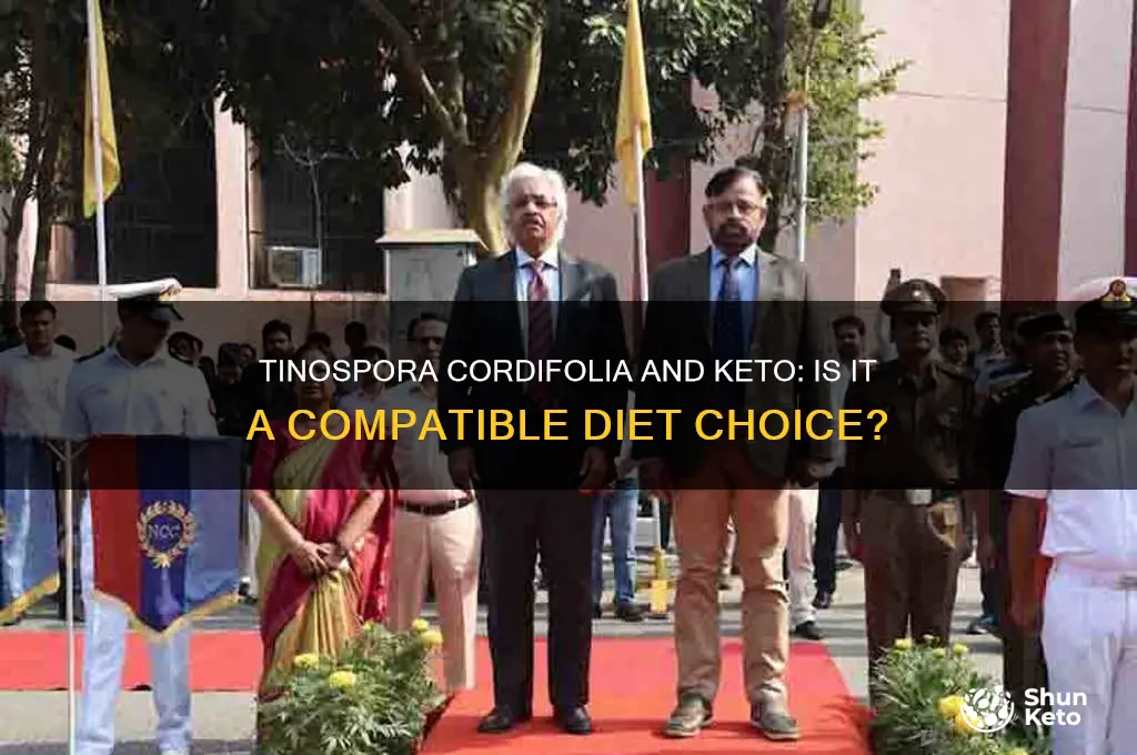 can you have tinospora cordifolia in keto