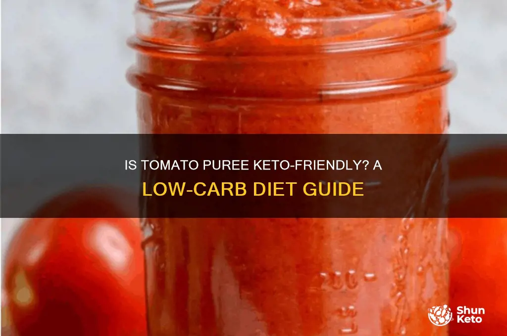 can you have tomato puree on keto diet