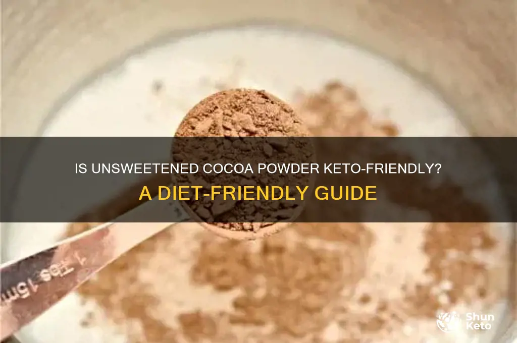 can you have unsweetened cocoa powder on keto
