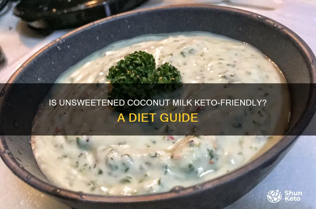 can you have unsweetened coconut milk on keto