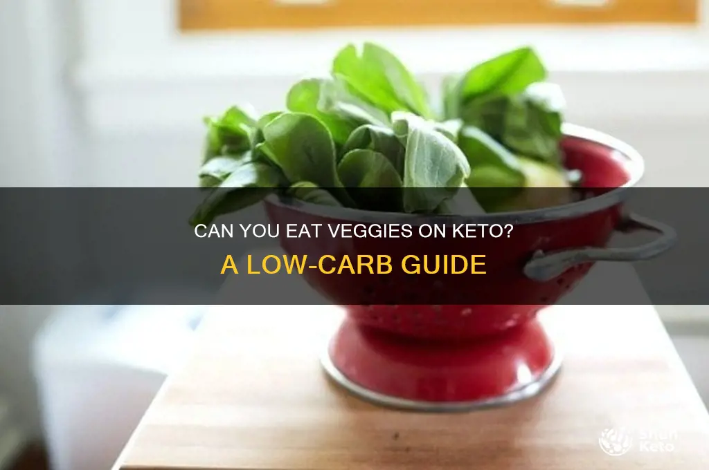 can you have veggies on keto diet