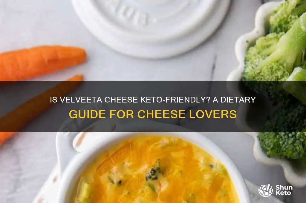 can you have velveeta cheese on keto diet