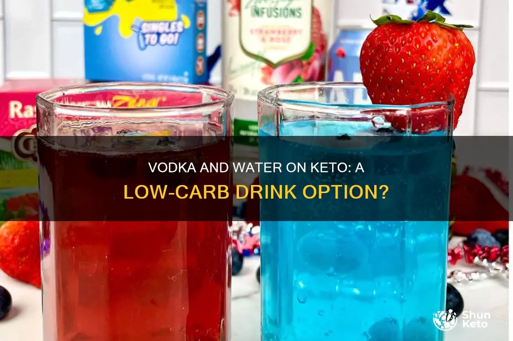 can you have vodka and water on keto diet