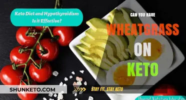 Wheatgrass on Keto: Is It a Low-Carb Friendly Superfood?