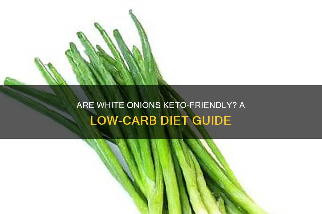 can you have white onions on keto