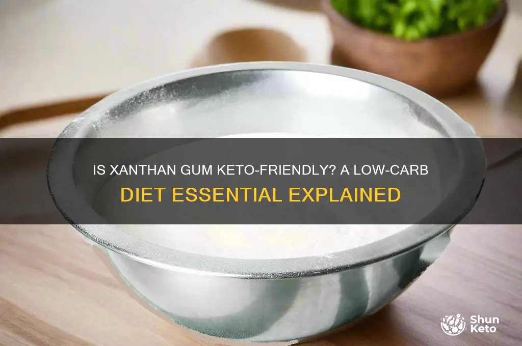 can you have xanthan gum on keto diet