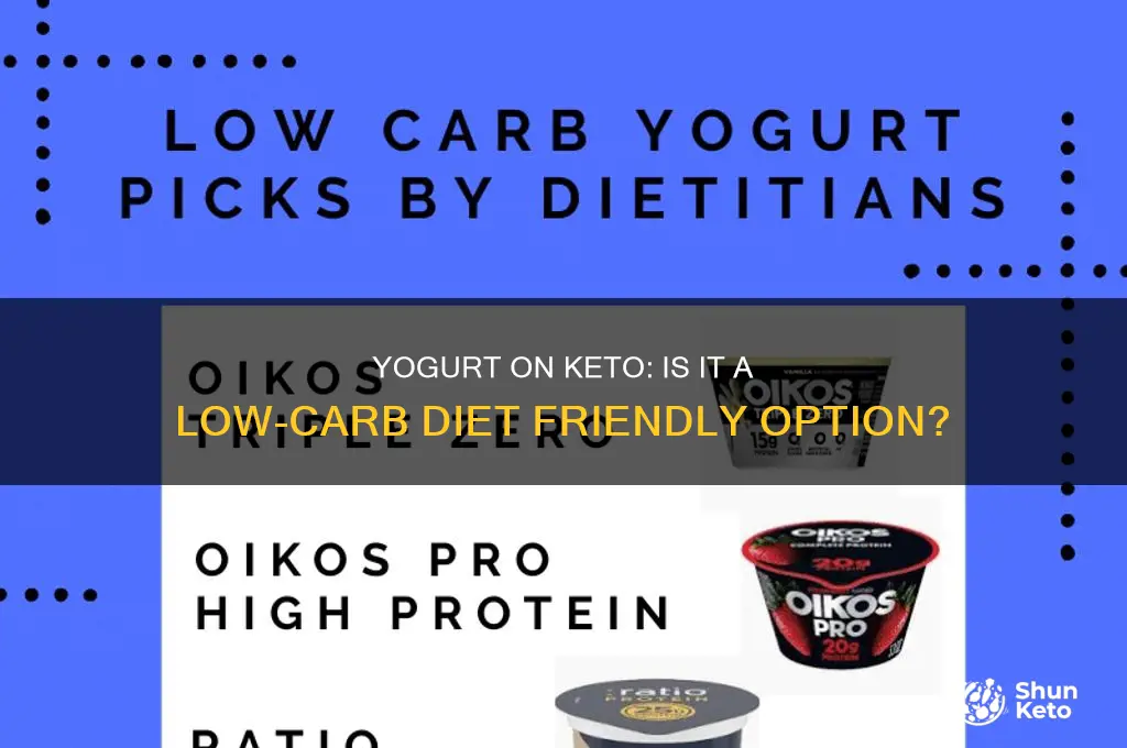 can you have yogurt on a keto diet